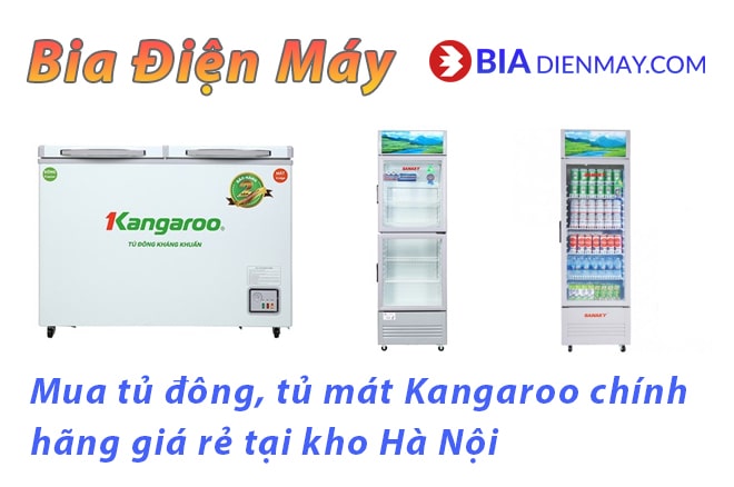 Mua tủ đông Kangraoo, tủ mát chính hãng tại HN, giá rẻ tại kho không lo về giá - cải thiện cuộc sống