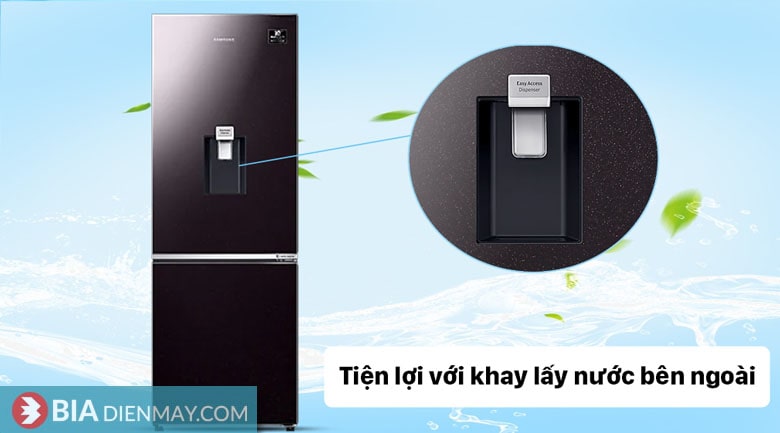 Tủ lạnh Samsung inverter 307 lít RB30N4190BY/SV - ngăn lấy nước ngoài