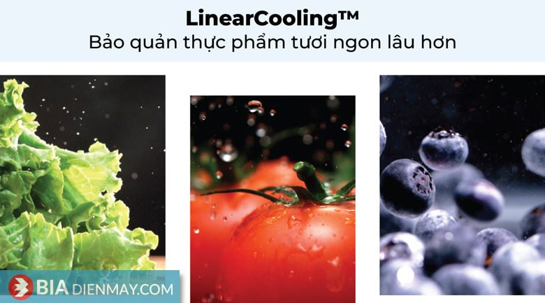 Tủ lạnh LG inverter 478 lít GN-D602BLI - Linear Cooling