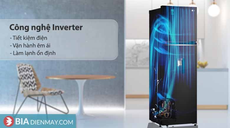 Tủ lạnh LG Inverter 264 lít GV-D262BL 