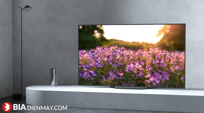 OLED Tivi Sony KD-55A9G 55 inch 4K HĐH Android
