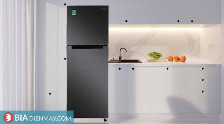 Tủ lạnh Samsung 302 lít RT29K503JB1/SV - Thiết kế
