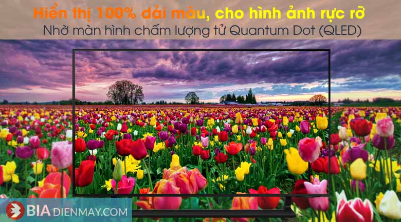 Smart Tivi Samsung 50 inch 4K QLED QA50Q65A - Chấm lượng tử Quantum Dot