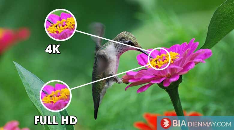Tivi OLED LG 55 inch OLED55GXPTA - Độ phân giải 4K