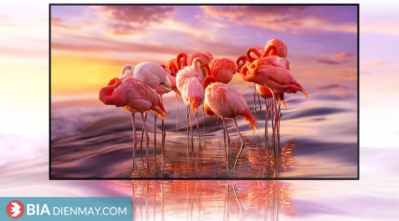 Smart Tivi Samsung 55 inch QLED 4K QA55QE1C - Chấm lượng tử Quantum Dot