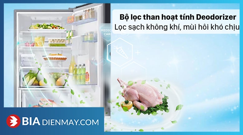 Tủ lạnh Samsung RB30N4190BU/SV Inverter 307 lít