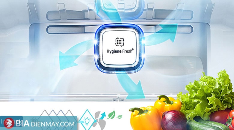 Tủ lạnh LG Inverter 655 lít GR-Q257MC - Công nghệ diệt khuẩn, khử mùi