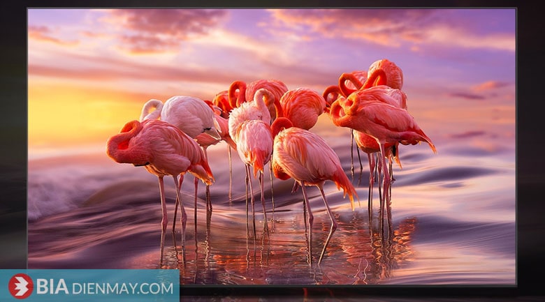 Tivi Samsung 4K 75 inch QA75Q70C - công nghệ hình ảnh sắc nét
