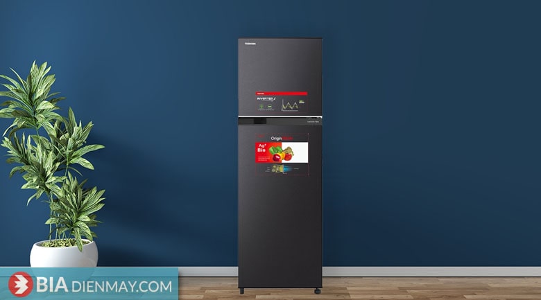 Tủ lạnh Toshiba inverter 253 lít GR-B31VU(SK) - thiết kế