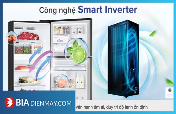 Tủ lạnh LG GN-D392PSA Inverter 394 lít