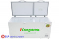 Tủ đông Kangaroo KG 809C1 490 lít
