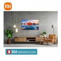 Google Tivi Xiaomi A Pro 4K 43 inch L43M8-A2SEA