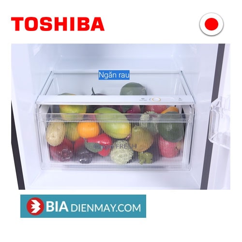 Tủ lạnh Toshiba inverter 311 lít GR-RT395WE-PMV(06)-MG